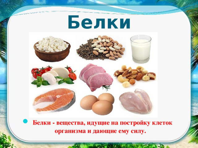 Зачем нам белок?